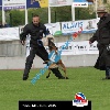 IMG_9445 (2)